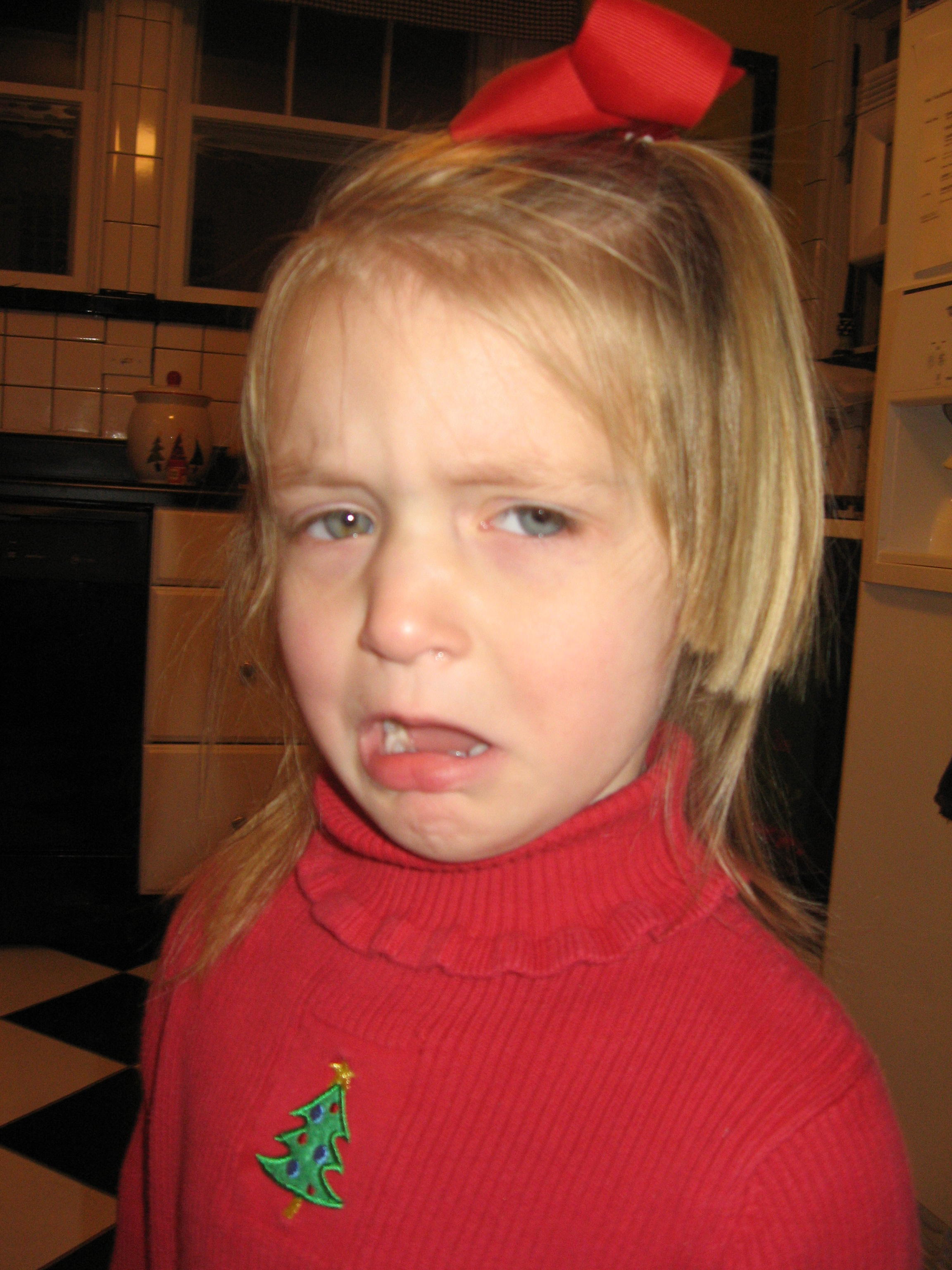 2007_12_05 mullet Cate.jpg